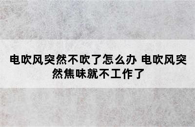 电吹风突然不吹了怎么办 电吹风突然焦味就不工作了